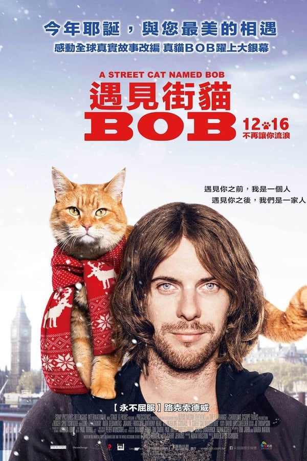 流浪猫鲍勃