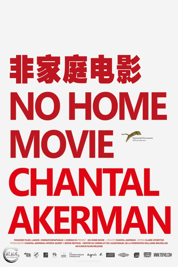 非家庭电影