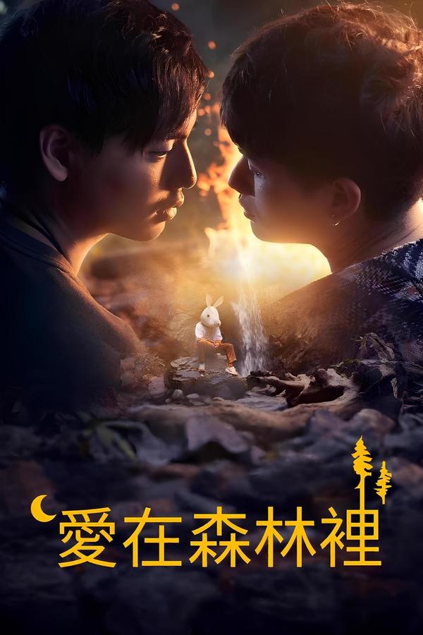电影《林中爱季》的海报