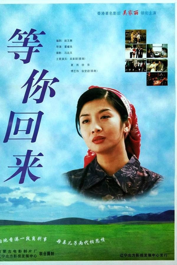 电影《等你回来》的海报