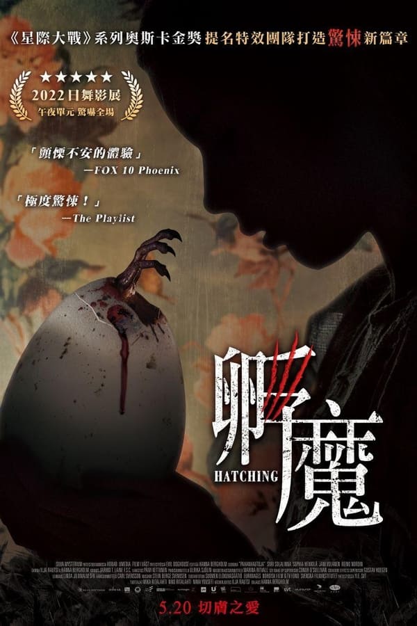 电影《孵化》的海报