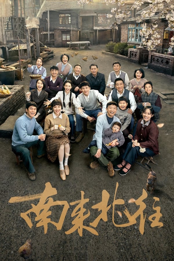 电影《南来北往》的海报