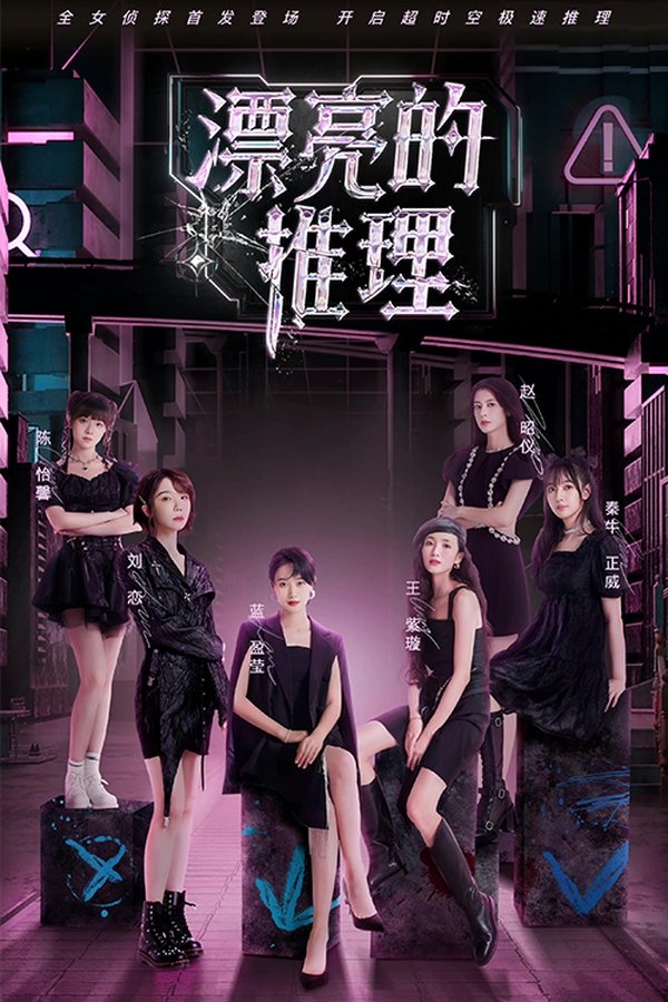 《漂亮的推理》的海报