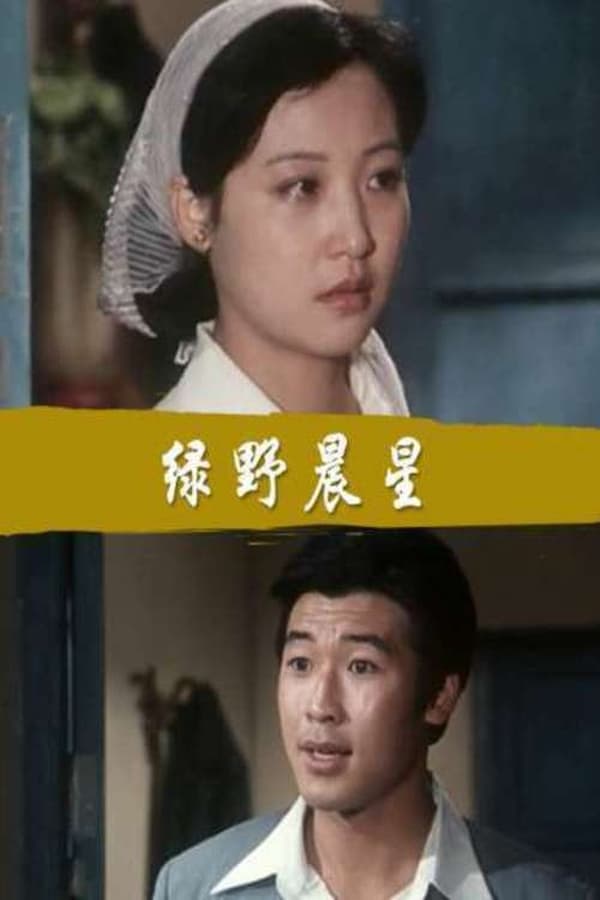 电影《绿野晨星》的海报