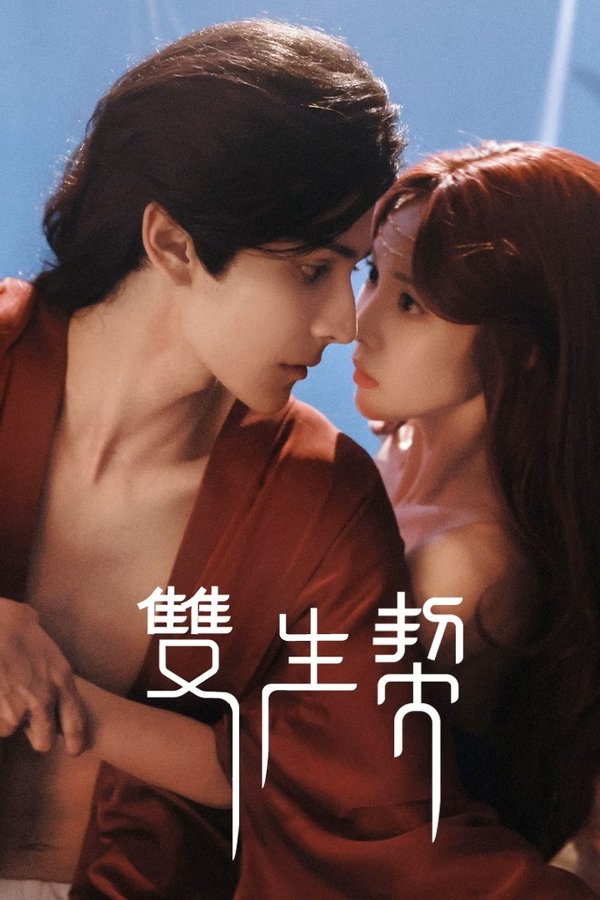 《双生契》的海报