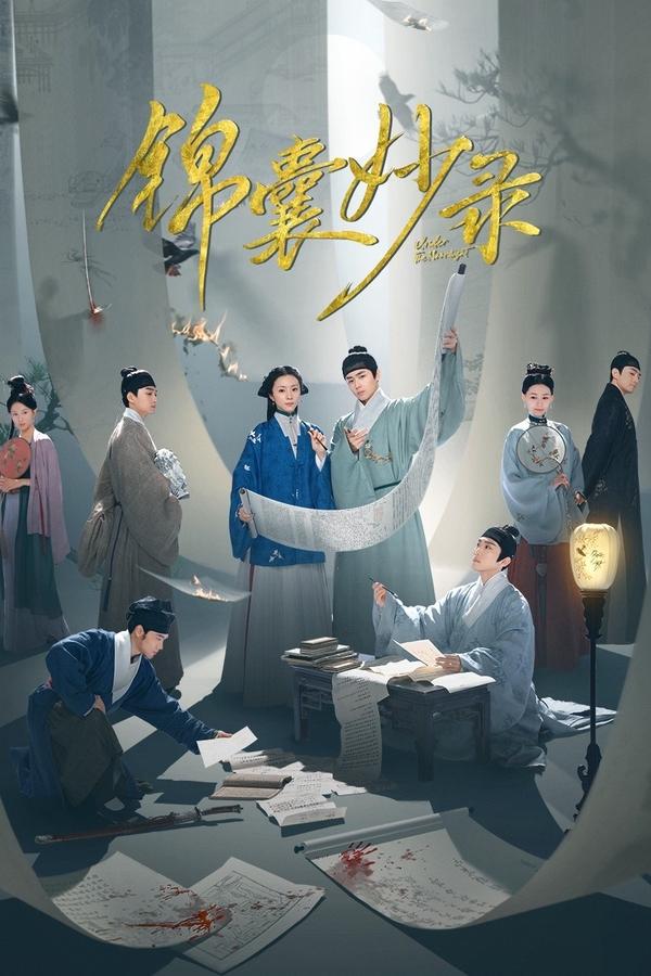 电影《锦囊妙录》的海报