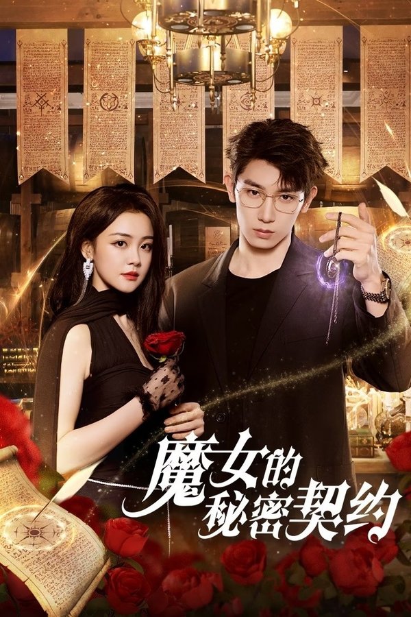 电影《魔女的秘密契约》的海报