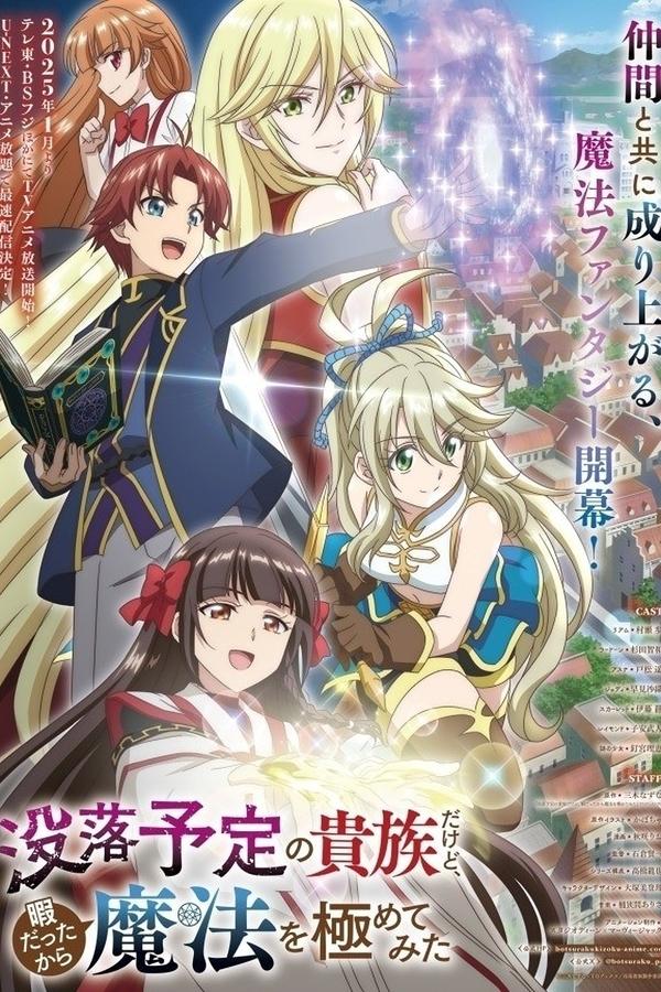 电影《虽然我是注定没落的贵族，闲来无事只好来深究魔法》的海报