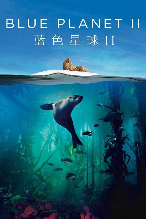 电影《蓝色星球 第二季》的海报