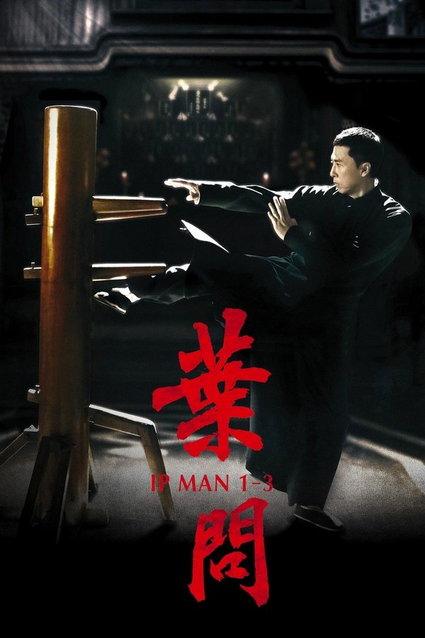 《叶问（系列）》的海报