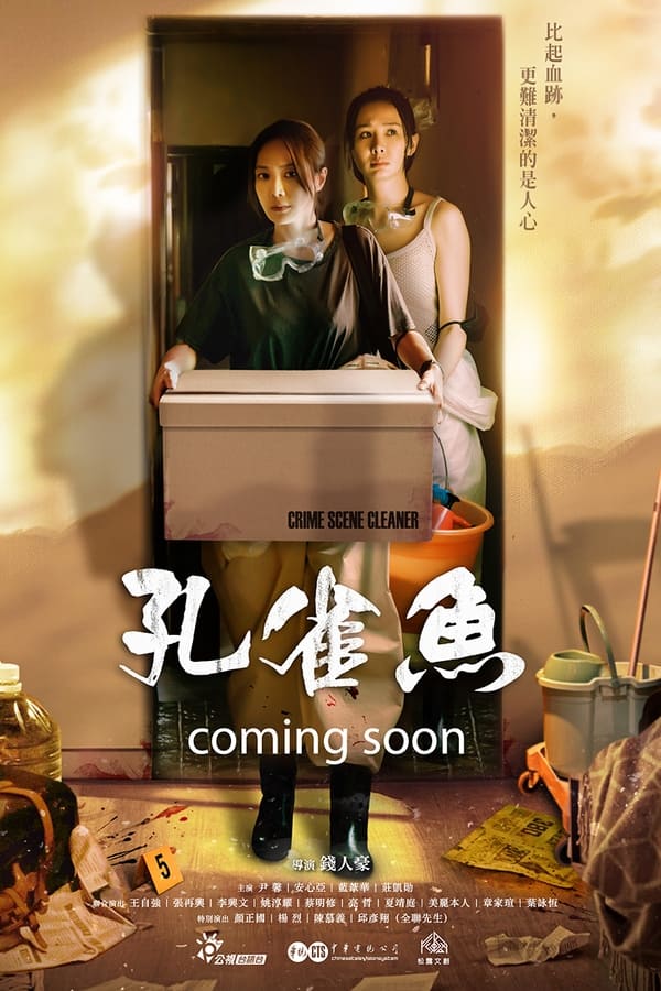 电影《孔雀鱼》的海报