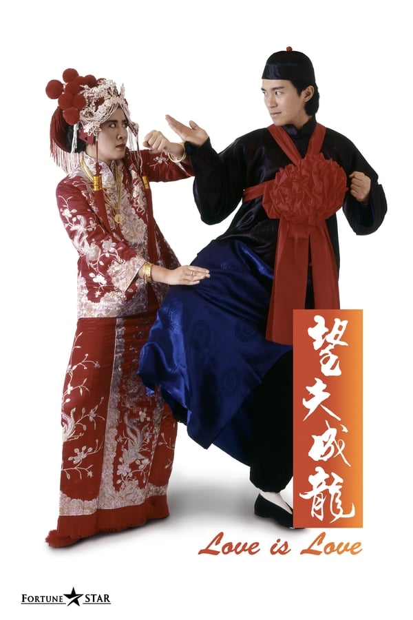 电影《望夫成龙》的海报