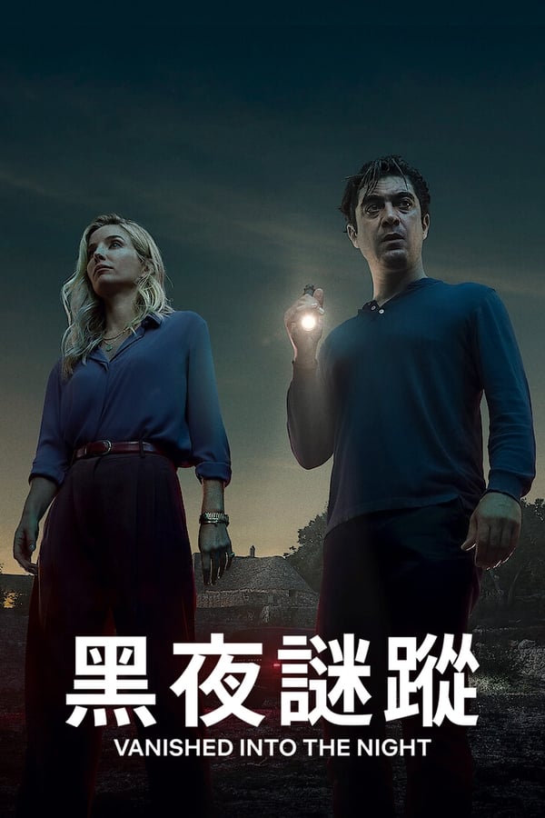 电影《黑夜谜踪》的海报