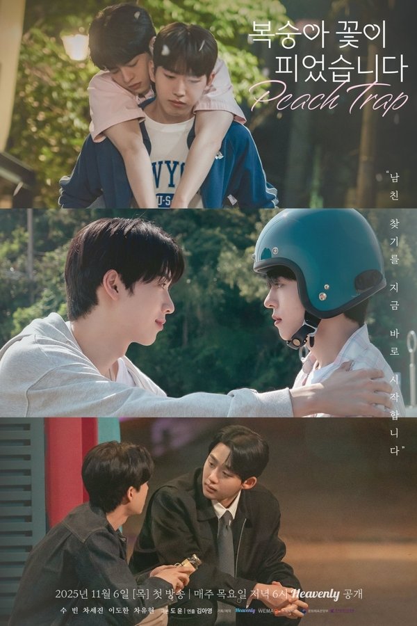 《桃花开》的海报