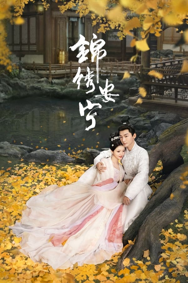 电影《锦绣安宁》的海报