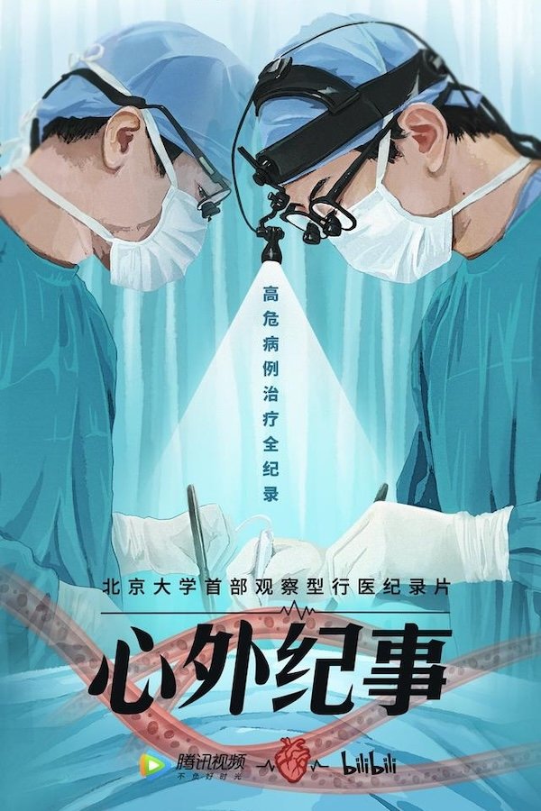 电影《心外纪事》的海报