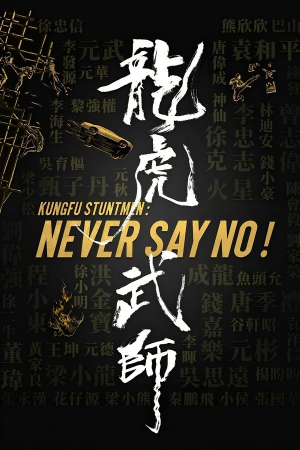 电影《龙虎武师》的海报
