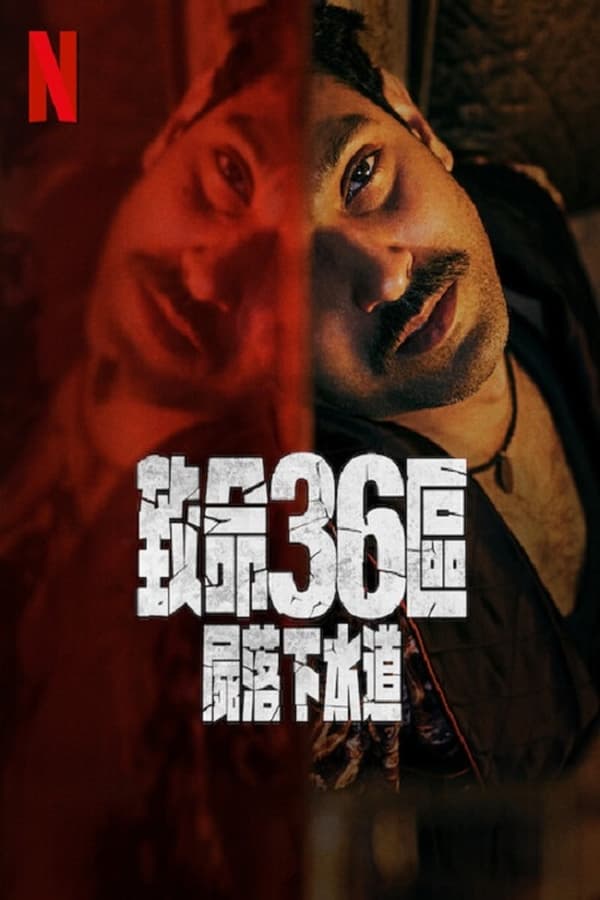 电影《致命36区》的海报