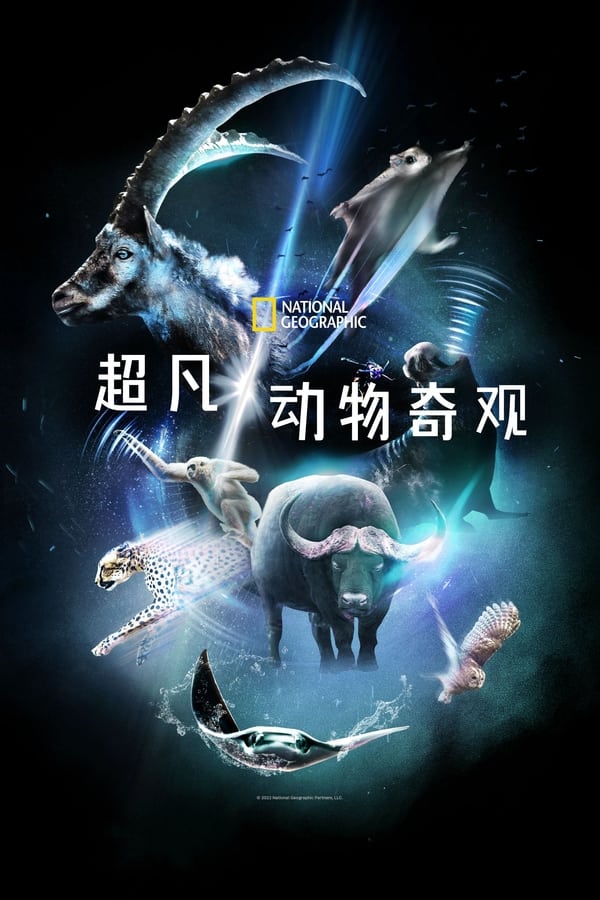 电影《超凡动物奇观》的海报