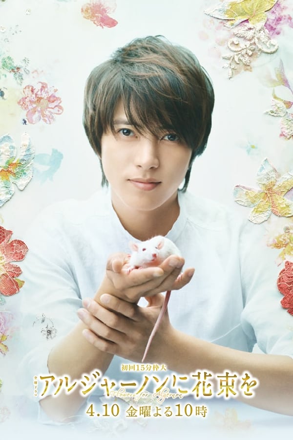 献给阿尔吉侬的花束