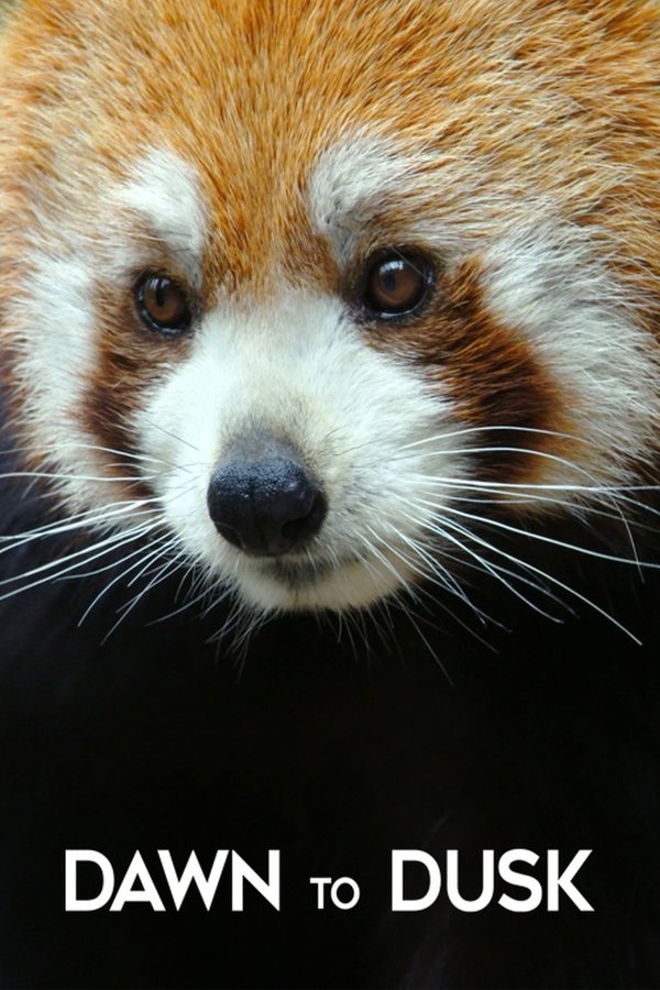 神奇动物的一天