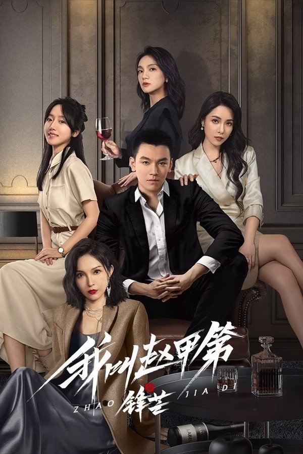 电影《我叫赵甲第之锋芒》的海报