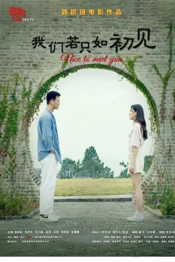 《我们若只如初见》的海报
