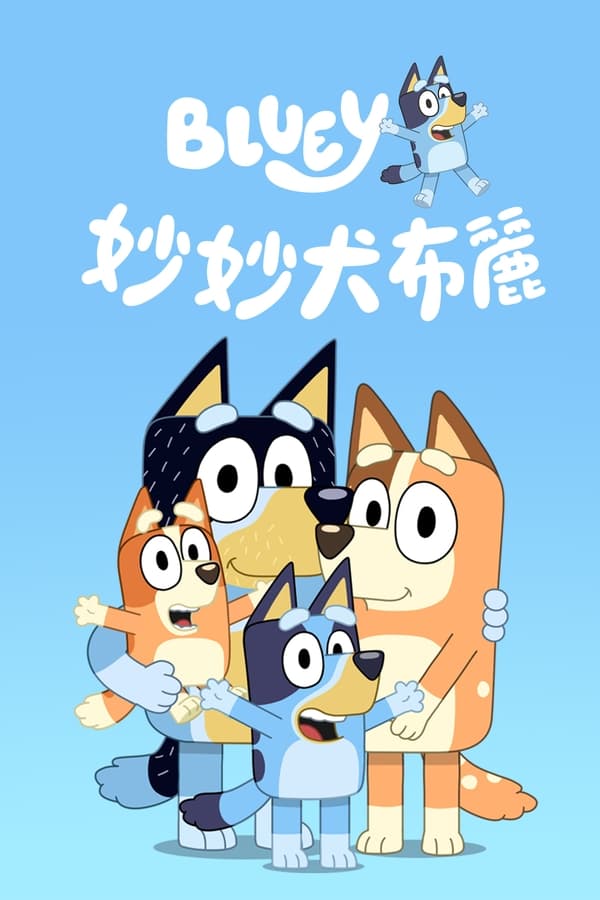电影《布鲁伊》的海报