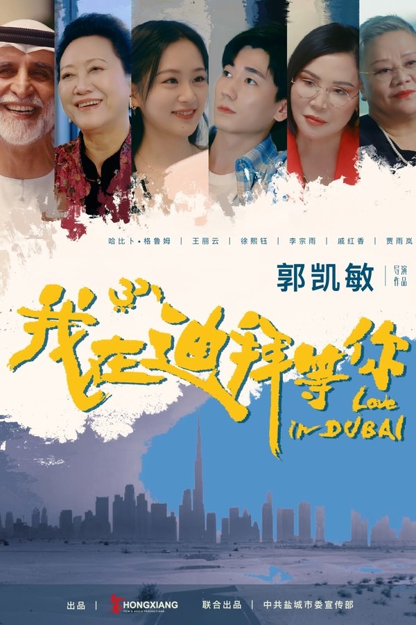 《我在迪拜等你》的海报
