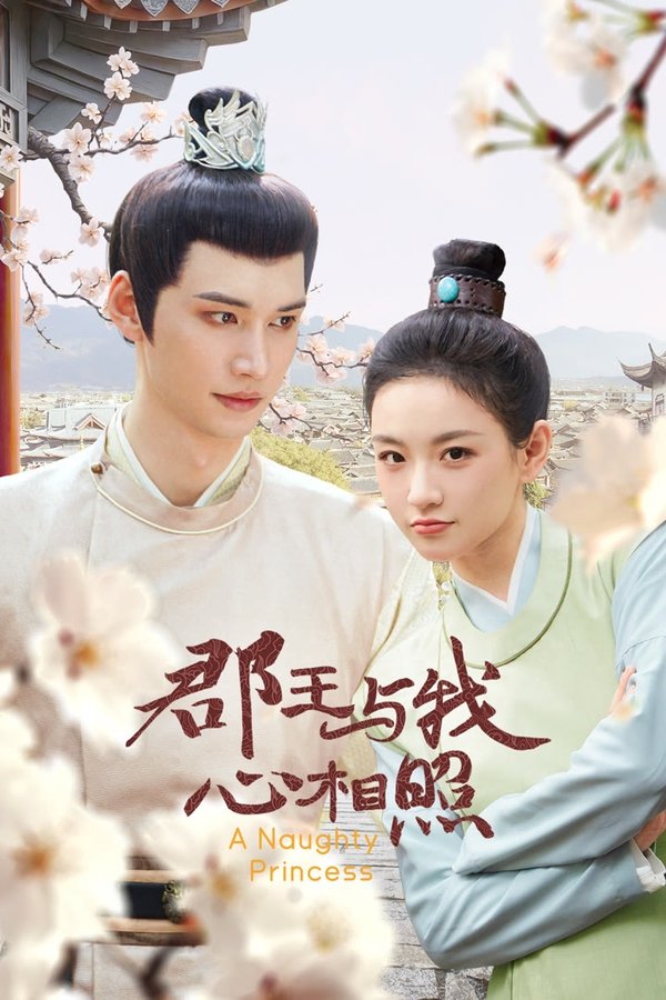 《郡王与我心相照》的海报