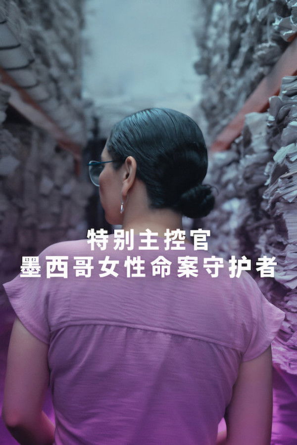 特别主控官：墨西哥女性命案守护者