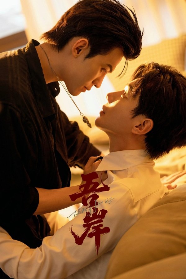 《吾岸》的海报