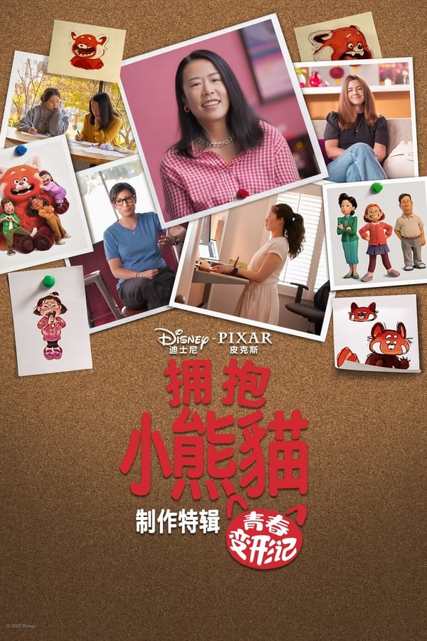 电影《拥抱小熊猫：青春变形记背后的故事》的海报