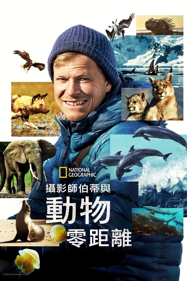 电影《贝尔蒂·格雷戈里：与动物零距离》的海报