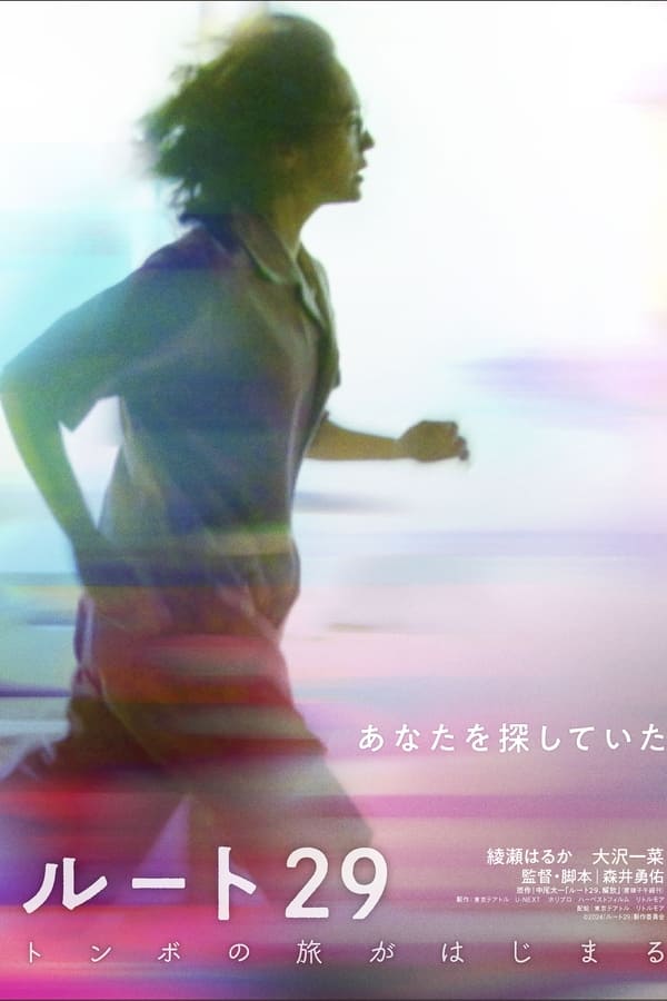 电影《国道29号》的海报