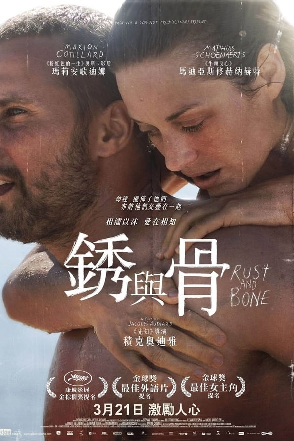 电影《锈与骨》的海报