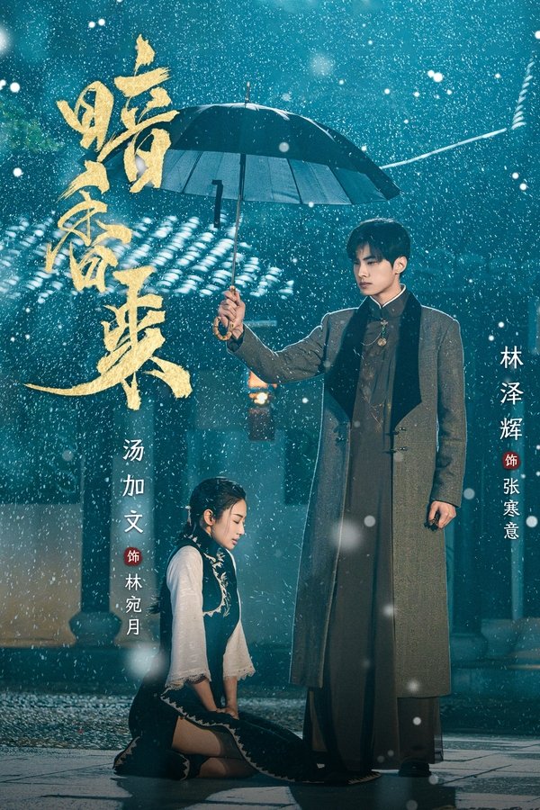 电影《暗香来》的海报