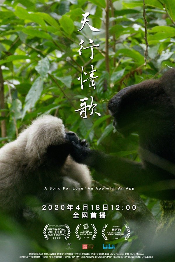 电影《天行情歌》的海报