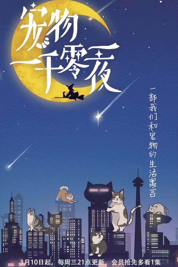 电影《宠物一千零一夜》的海报