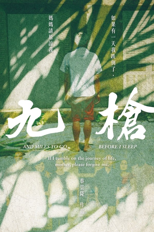《九枪》的海报