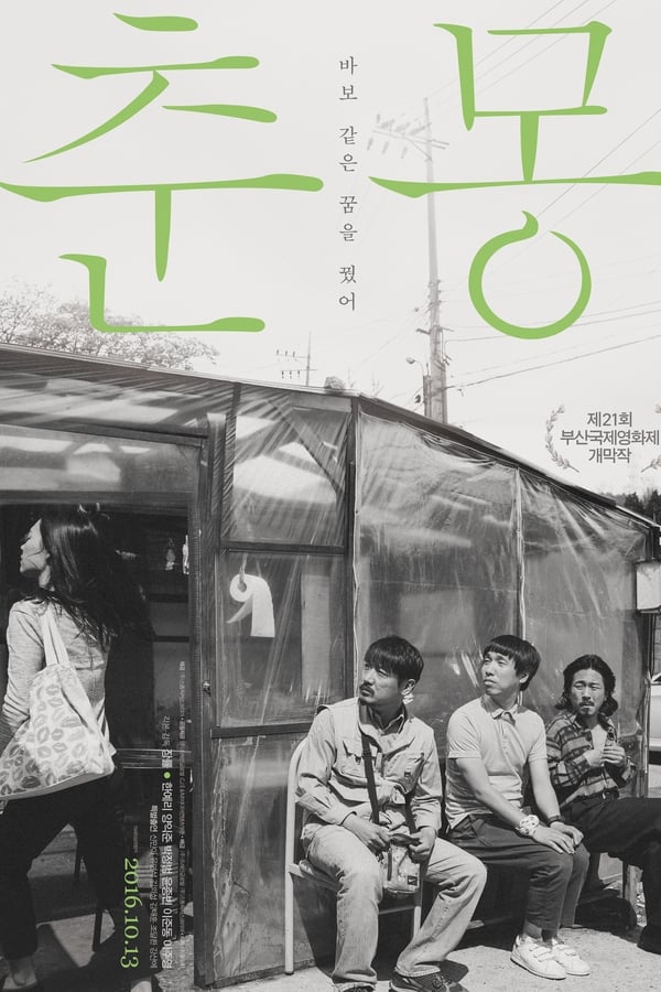 电影《春梦》的海报
