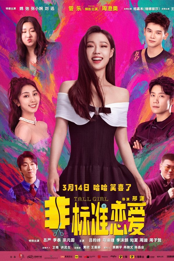 《非标准恋爱》的海报