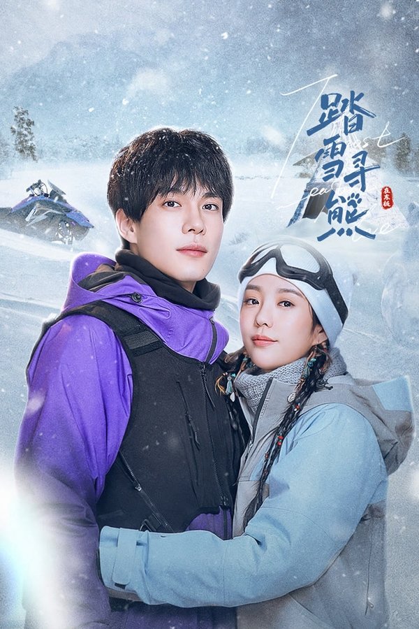 电影《踏雪寻熊》的海报