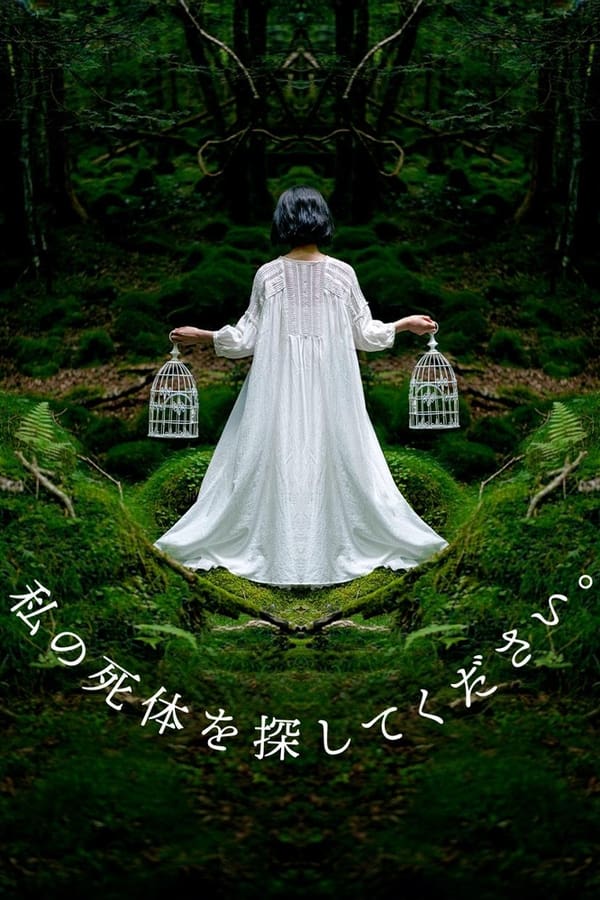 请寻找我的尸体