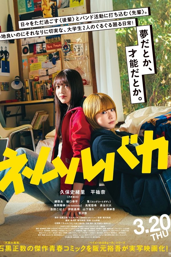 《睡觉的笨蛋》的海报