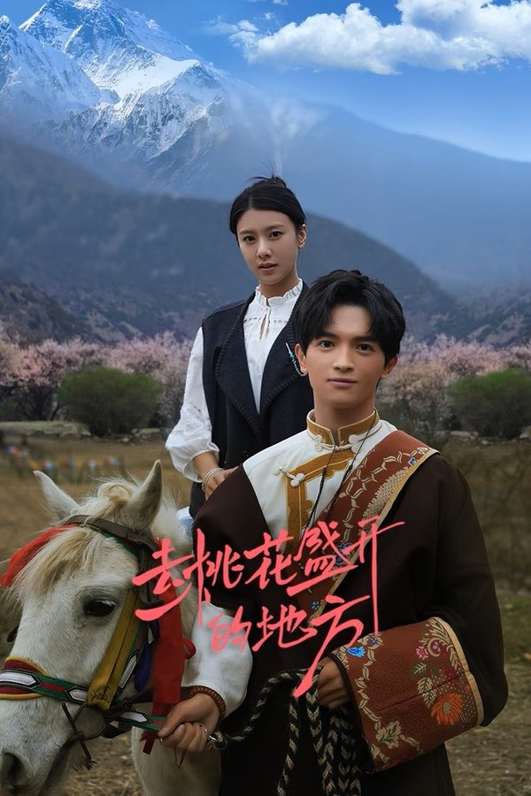 《去桃花盛开的地方》的海报