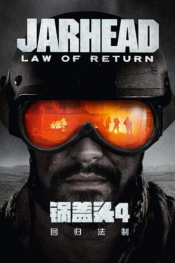 电影《锅盖头4：回归法制》的海报