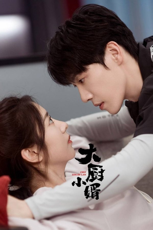 《大厨小婿》的海报