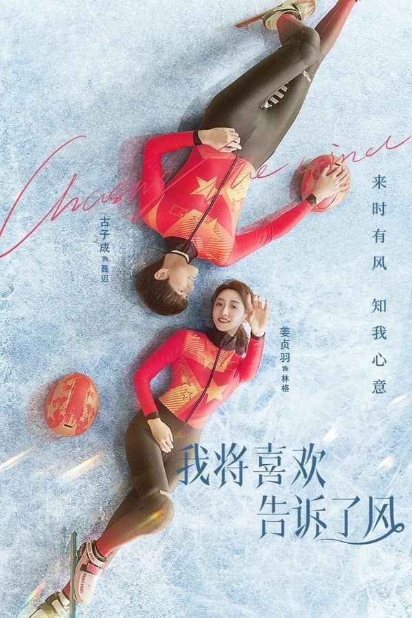 电影《我将喜欢告诉了风》的海报