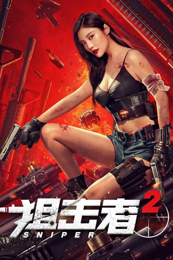 电影《狙击者2》的海报